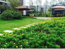 嘉悦江庭简装三房 近轻轨 龙湖物业