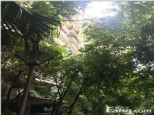 冉家坝 东和春天西区三房172万