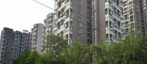 香域中央3室1厅东北
