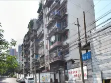 五朵金花,家长懂的都懂,带花园