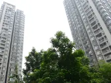 二郎 美好星空 双轻轨出行 配套成熟 业主诚心出售