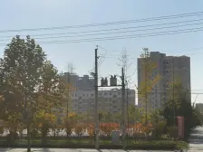 观天下 精装修 127平大三室 南北通透