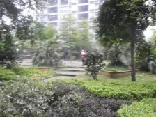 双碑 金杜洋光三房68万