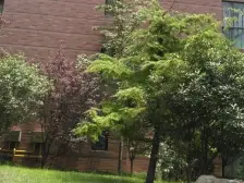 锦艺城 五一公园地铁口 标准朝南一室一厅 全实木家具