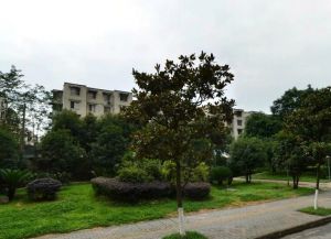 大源南二街5号院2室1厅南