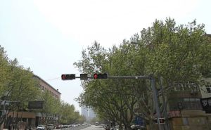 果园路封闭式小区,格局,采光好,配套方便