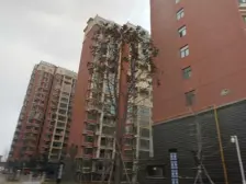 小乔地铁口 小高层3室2厅 生活交通方便