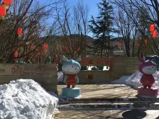 龙湖滟澜山 6室5厅 北 南