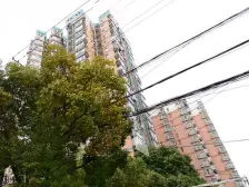 同济西苑 2室2厅 东南 南