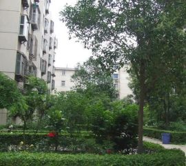 红专路经三路省外贸小区户型好采光好中间楼层可贷款