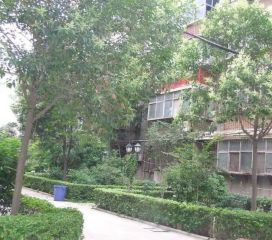 省医旁外贸家属院精装修双气三房户型方正采光好急卖
