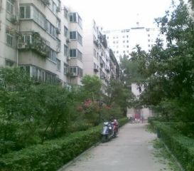 益兴花园2室2厅南北