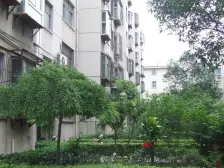 省医旁 两室两厅 户型方正 首付15万 双气两房随时看房