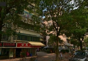 橘洲新苑3室2厅南北