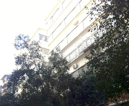 永安街小区3室1厅1卫南北朝向650.00元/月出租