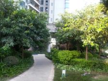 双阳台高楼层,带入户,看前山河景无遮挡