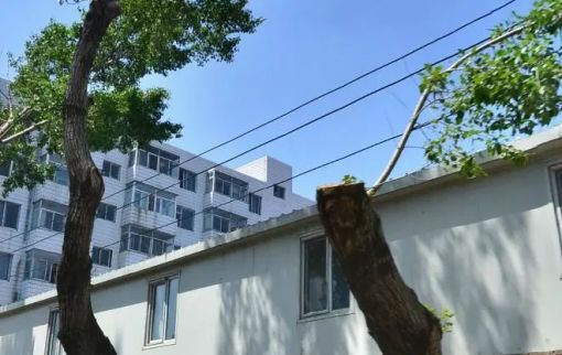 长铁柳影路花园小区1室1厅1卫南朝向1200.00元/月出租