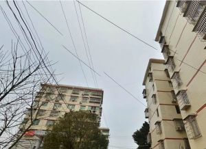 青青家园3室2厅南