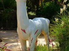 麓湖生态城蓝花屿 4室3厅 南