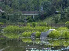 茶园新区 光华安纳溪湖A区五房