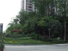 中港臻舍 1室0厅 南