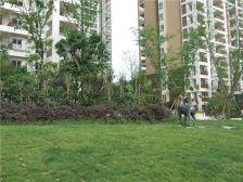 中港臻舍 1室1厅 南