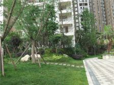 中港臻舍 1室0厅 南