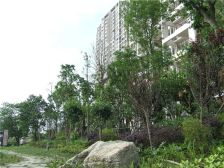 中港臻舍 1室1厅 南