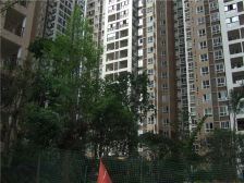 中港悦蓉府 3室2厅 南