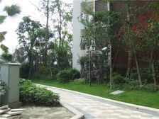 中港悦蓉府 3室2厅 东