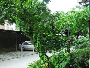 下一站都市1室1厅东北
