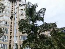 龙湖商圈旁 顶跃带露台 电梯房 森林制标