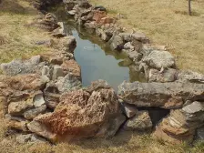 枫林绿洲简装中层大四居拎包住看房方便老本交通方便