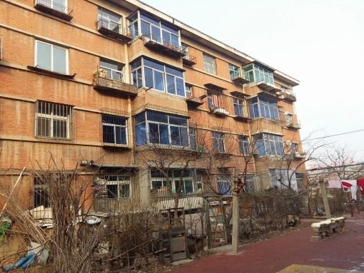 桃园小区(瓦房店)1室1厅1卫南朝向1000.00元/月出租