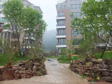 枫林绿洲毛坯房大四居看房方便老本价格便宜中层采光好