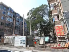 南兴隆典式楼 中间楼层 精装修 好位置 老本可贷款