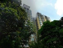 新出大四房,业主诚心出售,快来看看呀