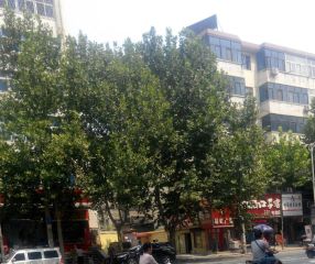 省医旁小高层带电梯两梯三户单价8000