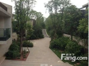 麓湖生态城云树3室2厅东南