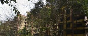 银丰园一区5室2厅东南