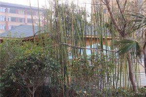 河景房 价格优,交通便利 离公园近