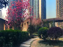 解放碑商圈+日月光次新房+双轻轨+高楼层+视野好+看江