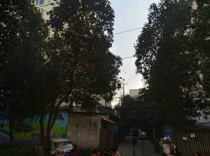 红运街3号 2室1厅 东南