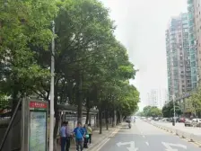 遥望滕王阁 途径地铁1号线 房东诚心出售 自住3房