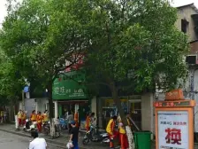 苏圃路1号二中宿舍 南北通透,采光好 装修好,环镜优美 近地铁 视野好,诚心出售