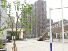 滨江国际大户型,一线江景,精装修可拎包入住