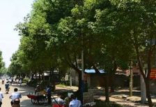 洪都四区 3室1厅 南