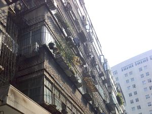 红专一街10号院4室2厅南北