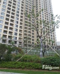 品质小区,配套齐全,环境好,地理位置优越