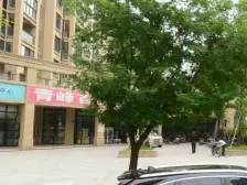 国贸品质大三房 自住精装修 拎包入住 中间楼层 采光好